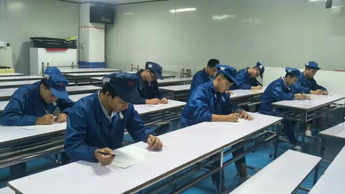 掌握職業(yè)技能，增值自我人生——第一工廠工程技術(shù)崗位評(píng)審認(rèn)證與信息技術(shù)咨詢(xún)服務(wù)解析